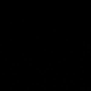 Meet your Posher, Parris